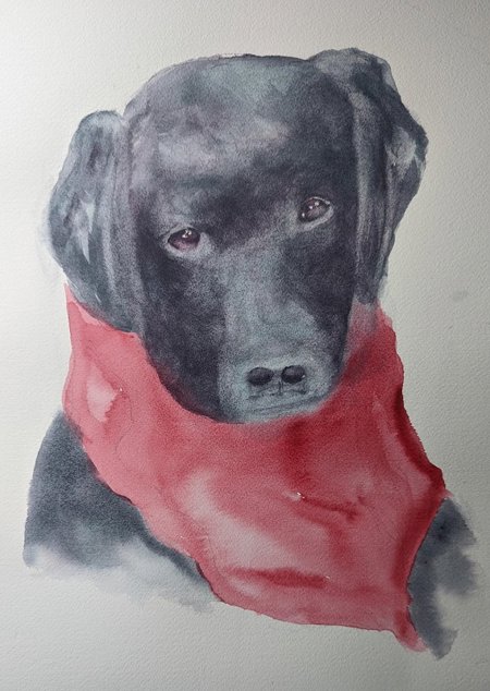 Pet Paintings by Joe Gallant